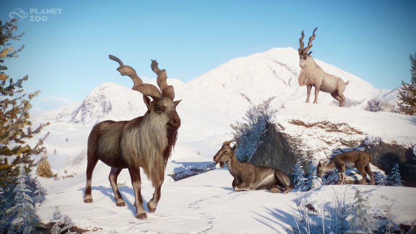 Zookeepers Animal Pack - Markhor