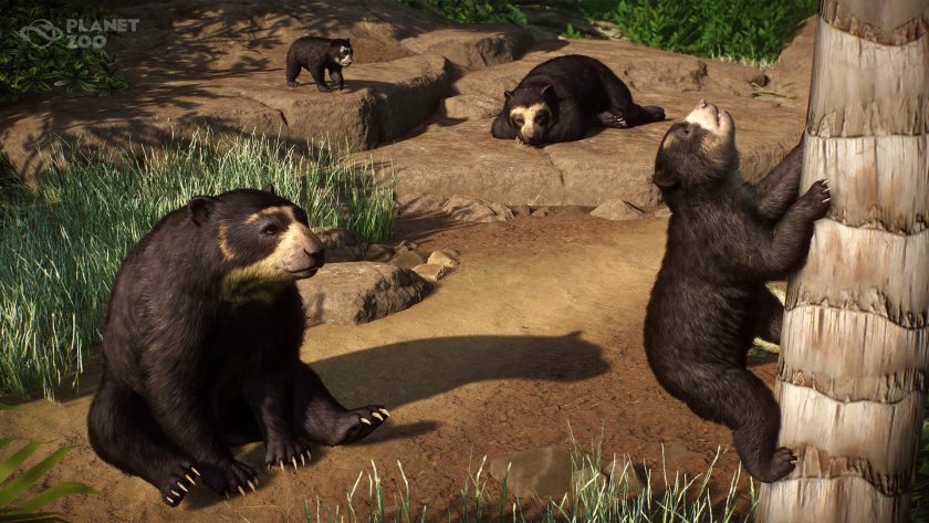 Zookeepers Animal Pack - Spectacled Bear