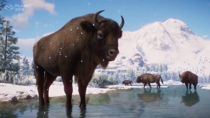 Planet Zoo - Eurasia Animal Pack - wisent