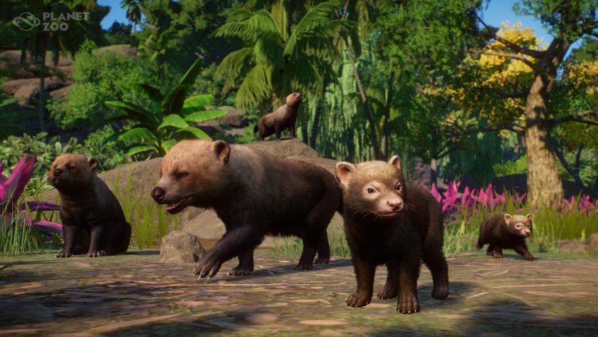 Planet Zoo - Americas Animal Pack - Bush Dog