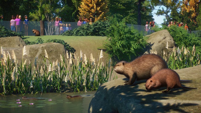 Planet Zoo - North American Beaver