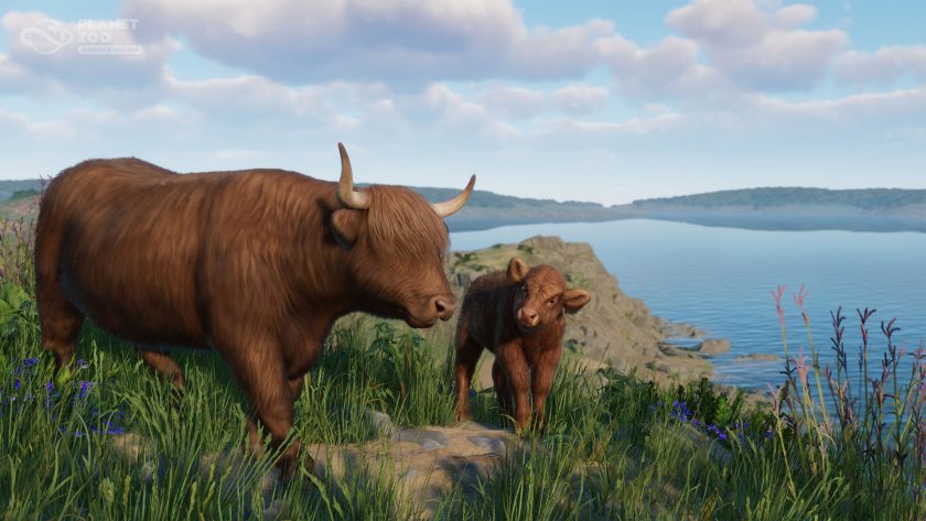 Planet Zoo: Console Edition - Barnyard Pack - Highland Cattle