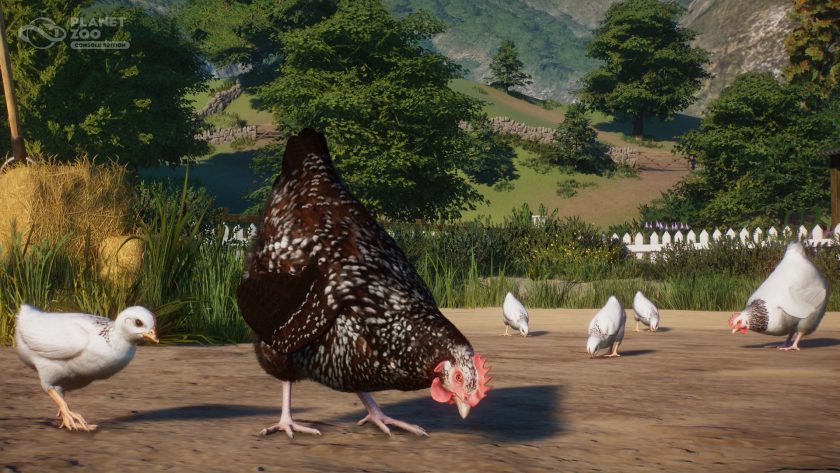 Planet Zoo: Console Edition - Barnyard Pack - Sussex Chickens