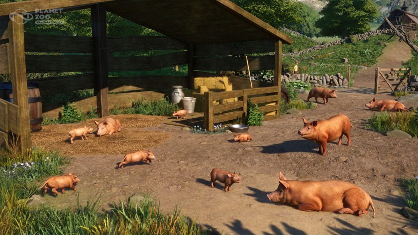 Planet Zoo: Console Edition - Barnyard Pack - Tamworth Pigs