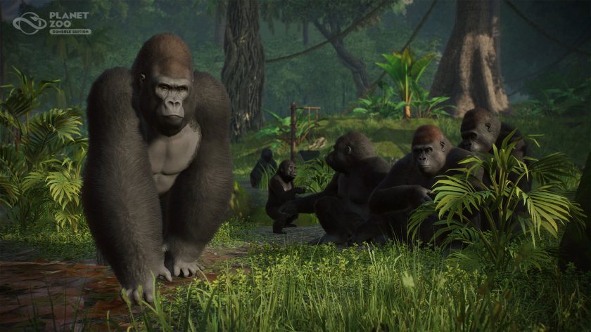 Planet Zoo Console - Gorilla