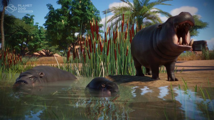 Planet Zoo Console - Pygmy Hippo