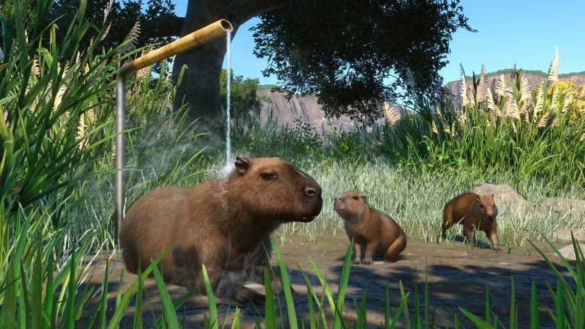 Planet Zoo - Capybara